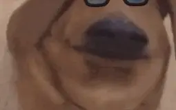 Don't Starve Together (Skins)